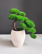 Green Cloud Moss Bonsai Tree - Handmade Preserved Moss Bonsai in Beige Ceramic Pot