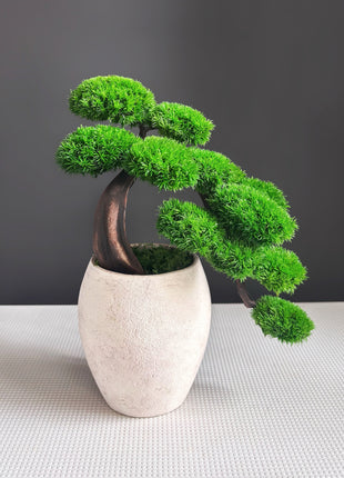 Green Cloud Moss Bonsai Tree - Handmade Preserved Moss Bonsai in Beige Ceramic Pot