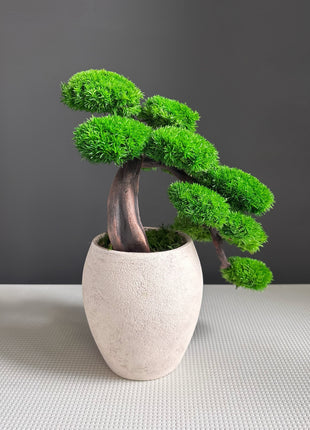 Green Cloud Moss Bonsai Tree - Handmade Preserved Moss Bonsai in Beige Ceramic Pot
