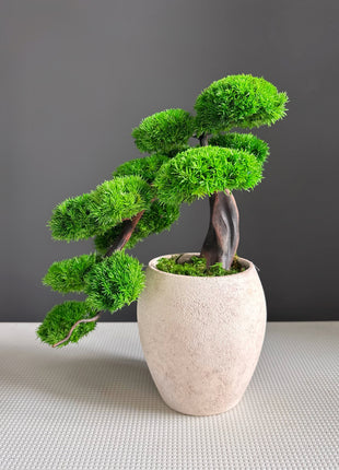 Green Cloud Moss Bonsai Tree - Handmade Preserved Moss Bonsai in Beige Ceramic Pot