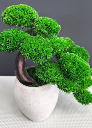 Green Cloud Moss Bonsai Tree - Handmade Preserved Moss Bonsai in Beige Ceramic Pot
