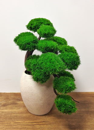Green Cloud Moss Bonsai Tree - Handmade Preserved Moss Bonsai in Beige Ceramic Pot