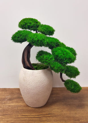 Green Cloud Moss Bonsai Tree - Handmade Preserved Moss Bonsai in Beige Ceramic Pot