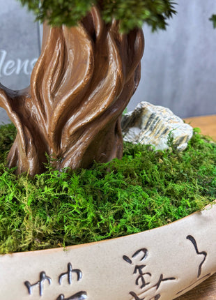 Preserved Juniper Bonsai Tree in Ceramic Pot – Handmade Zen Moss Sculpture