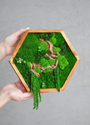 Preserved moss wall art in Geometric Modern Wooden Frame - MagicGardens