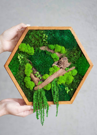 Preserved moss wall art in Geometric Modern Wooden Frame - MagicGardens
