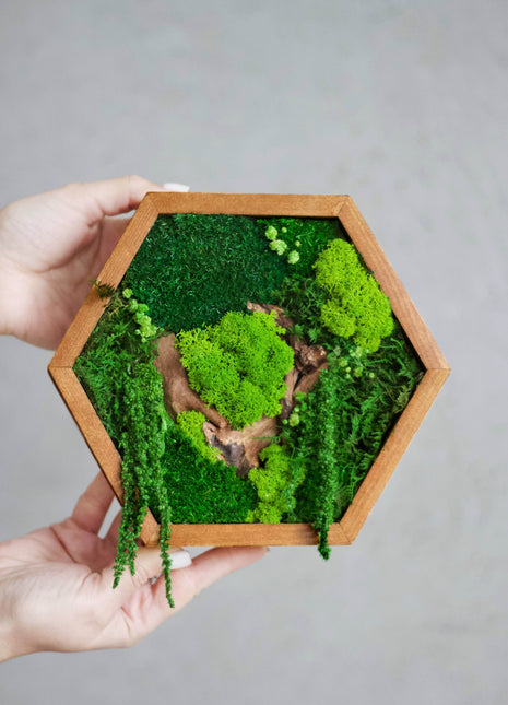 Preserved moss wall art in Geometric Modern Wooden Frame - MagicGardens