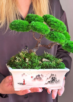 Bonsai with stabilized plants Emperor's Garden | Ceramic planter