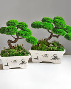 Bonsai with stabilized plants Emperor's Garden | Ceramic planter