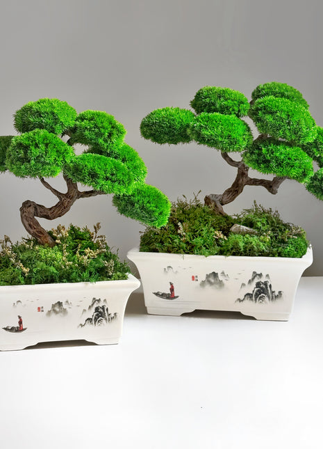 Bonsái con plantas preservadas Jardín del Emperador | Maceta de cerámica