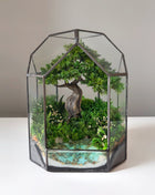 Moonlit Juniper – Mini Preserved Bonsai Terrarium