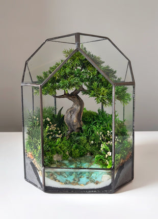Moonlit Juniper – Mini Preserved Bonsai Terrarium