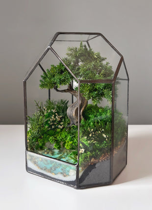 Moonlit Juniper – Mini Preserved Bonsai Terrarium