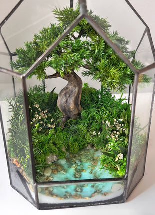 Moonlit Juniper – Mini Preserved Bonsai Terrarium