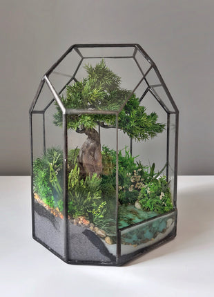 Moonlit Juniper – Mini Preserved Bonsai Terrarium