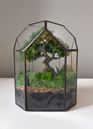Moonlit Juniper – Mini Preserved Bonsai Terrarium