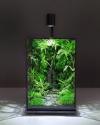 LED Jungle Moss Terrarium with Preserved Moss & Stabilized Plants