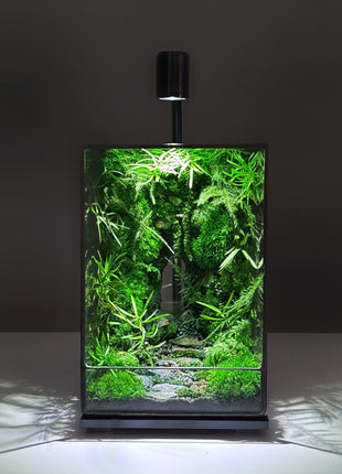 LED Jungle Moss Terrarium with Preserved Moss & Stabilized Plants