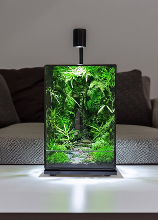 LED Jungle Moss Terrarium with Preserved Moss & Stabilized Plants