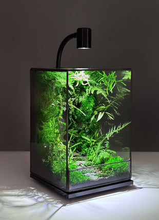 LED Jungle Moss Terrarium with Preserved Moss & Stabilized Plants