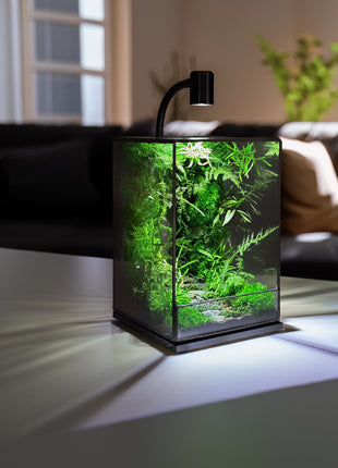 LED Jungle Moss Terrarium with Preserved Moss & Stabilized Plants