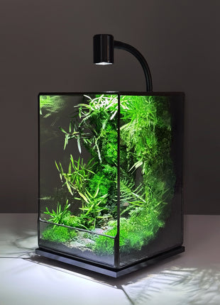 LED Jungle Moss Terrarium with Preserved Moss & Stabilized Plants