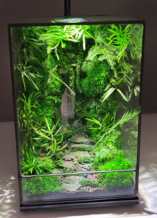 LED Jungle Moss Terrarium with Preserved Moss & Stabilized Plants