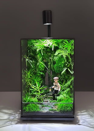 LED Jungle Moss Terrarium with Preserved Moss & Stabilized Plants