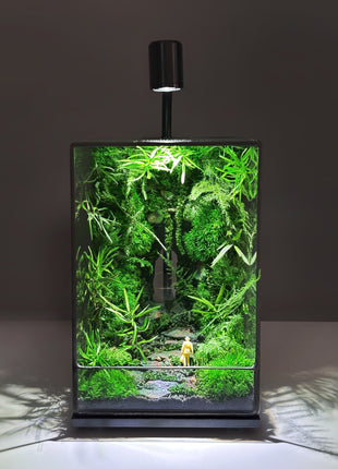 LED Jungle Moss Terrarium with Preserved Moss & Stabilized Plants