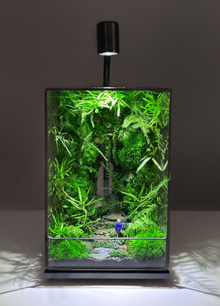LED Jungle Moss Terrarium with Preserved Moss & Stabilized Plants