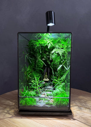 LED Jungle Moss Terrarium with Preserved Moss & Stabilized Plants