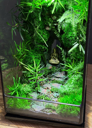 LED Jungle Moss Terrarium with Preserved Moss & Stabilized Plants