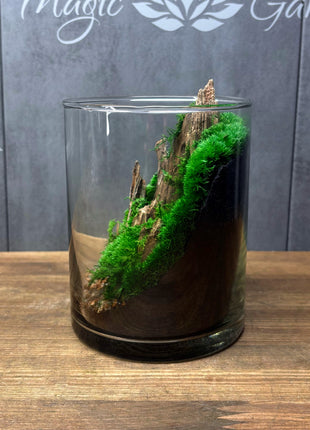 Mountain Moss Terrarium with LED Light – Preserved Moss Landscape in Glass Cylinder
