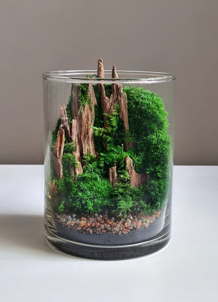 Mountain Moss Terrarium with LED Light – Preserved Moss Landscape in Glass Cylinder
