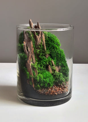 Mountain Moss Terrarium with LED Light – Preserved Moss Landscape in Glass Cylinder