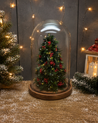 Evergreen Christmas Cloche - Mini Preserved Juniper Tree