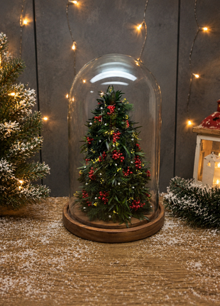 Evergreen Christmas Cloche - Mini Preserved Juniper Tree