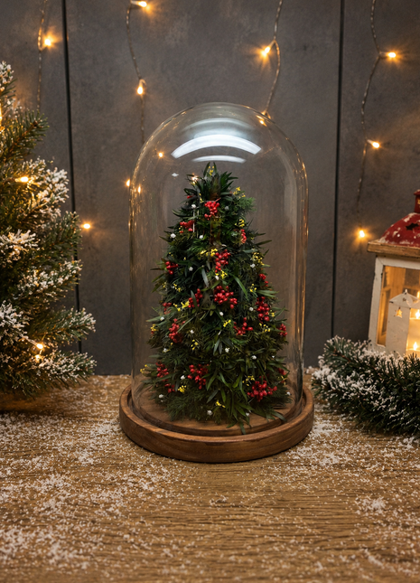 Evergreen Christmas Cloche - Mini Preserved Juniper Tree