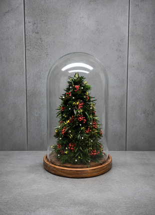 Evergreen Christmas Cloche - Mini Preserved Juniper Tree