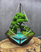 Ocean Waterfall terrarium with moss - Unique plant decor - MagicGardens