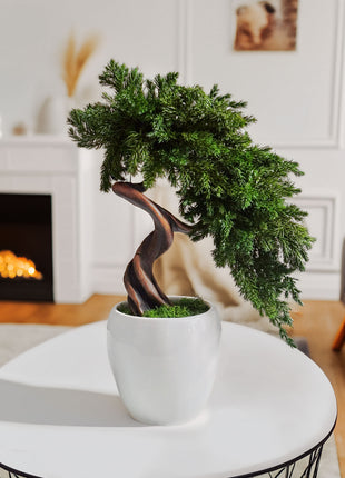 Preserved Juniper Bonsai Tree in White Ceramic Pot – Handmade No Watering Faux Bonsai, Japandi Zen Home Decor, Unique Gift Idea
