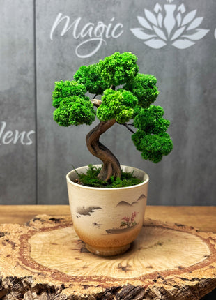 Mini Moss Bonsai Tree – Preserved Zen Decor for Home and Office