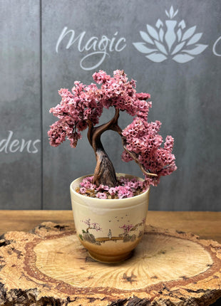 Mini Sakura Bonsai Tree, Preserved Cherry Blossom in Ceramic Pot