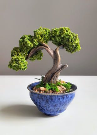 Mini Preserved Moss Bonsai Tree in Blue Ceramic Pot – Handmade Zen Desk Decor