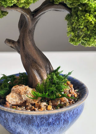 Mini Preserved Moss Bonsai Tree in Blue Ceramic Pot – Handmade Zen Desk Decor