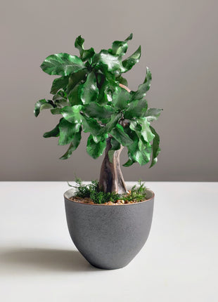 Mini Preserved Bonsai Tree in Gray Pot – Handmade Zen Japandi Decor