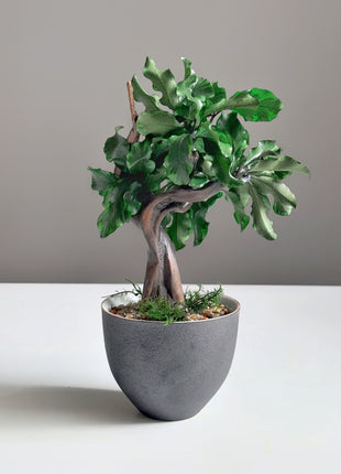 Mini Preserved Bonsai Tree in Gray Pot – Handmade Zen Japandi Decor