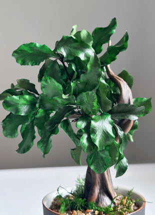 Mini Preserved Bonsai Tree in Gray Pot – Handmade Zen Japandi Decor
