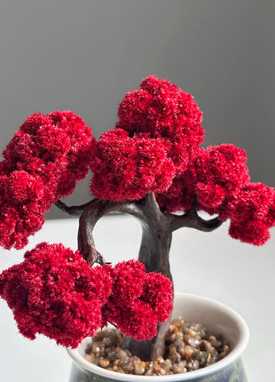 Mini Red Maple Bonsai Tree, Hand-Painted Ceramic Pot, No-Care Desk Decor, Zen Home Accent