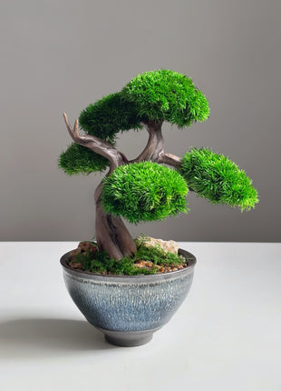 Mini Preserved Moss Bonsai Tree in Blue Ceramic Pot – Handmade Zen Japandi Decor